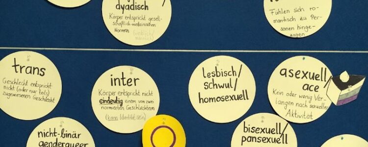 Vor einem dunkelblauen Hintergrund hängen runde, beschriebene Kärtchen. Die Begriffe auf den Kärtchen sind cis, endo(geschlechtlich)/dyadisch, heterosexuell, allosexuell, alloromantisch, trans, inter, nicht-binär, genderqueer, genderfluid, lesbisch/schwul/homosexuell, bisexuell/pansexuell, asexuell, aromantisch, queer. Neben Inter hängt eine gelbe Karte mit lila Kreis, das Symbol der Inter*-Prideflag. Neben asexuell/ace hängt ein gemaltes Stück Kuchen, das in den Farben der ace Prideflag gestaltet ist: schwarz, weiß, grau, lila.